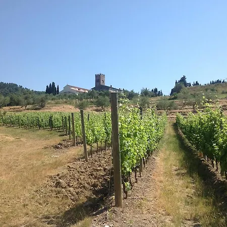 Sardini Lucca