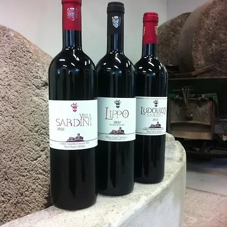 Sardini * Lucca
